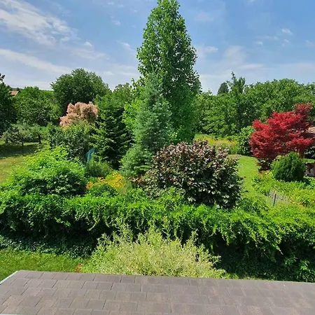 In - Balaton 20369 Daire *