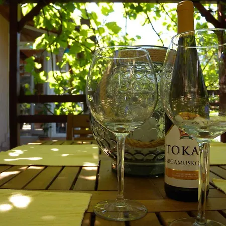 In - Balaton 20369 *