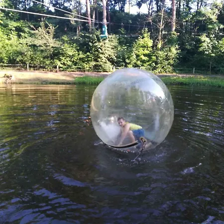 In - Balaton 20369 * Zamárdi